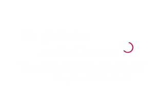 proidioma_slide1_text-300×214